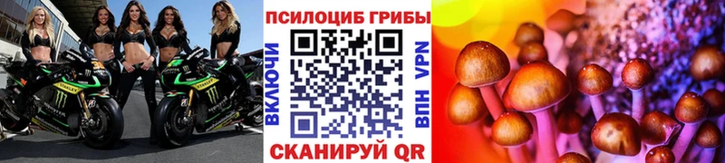 Купить закладки  Козьмодемьянск  Псилоцибиновые грибы мицелий 
